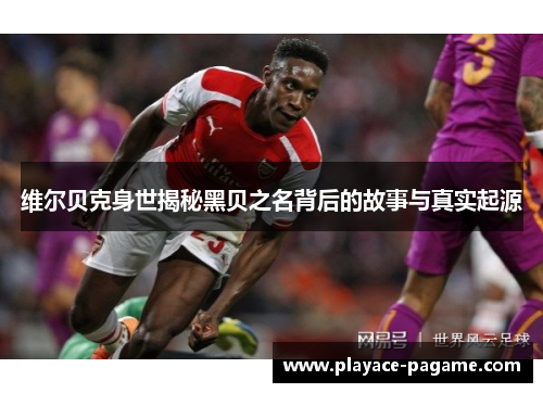 维尔贝克身世揭秘黑贝之名背后的故事与真实起源 维尔贝克身世揭秘黑贝之名背后的故事与真实起源